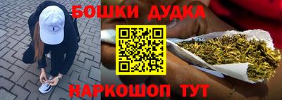 индика Изобильный